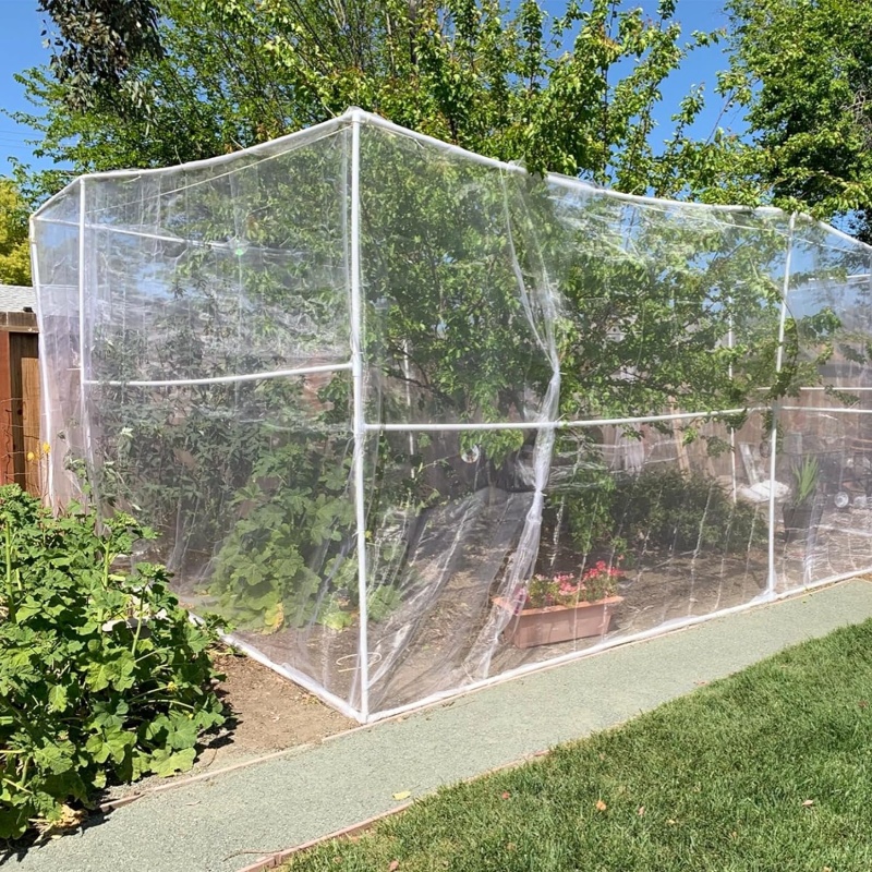 anti insect net