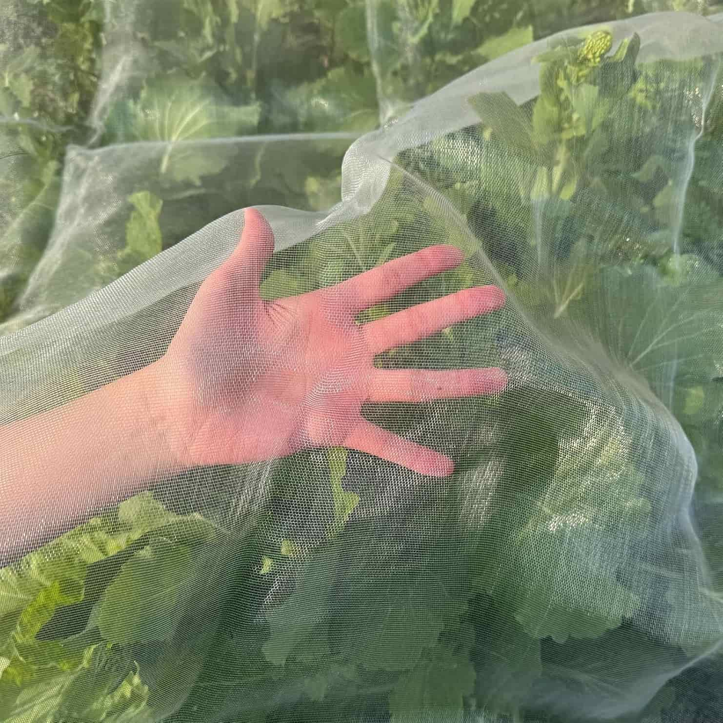 ¿Cómo elegir el tamaño de malla adecuado para su red antiinsectos?