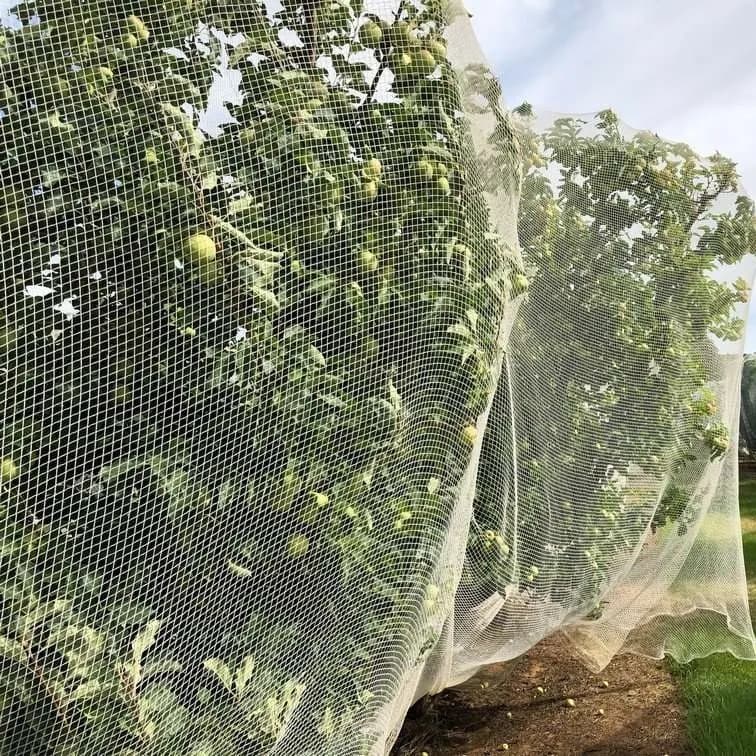 Función de la red antipájaros