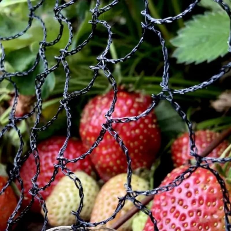 Alguna información sobre redes antipájaros.
