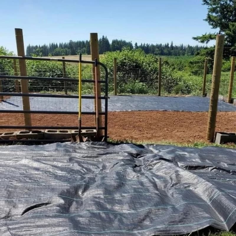 Introducción de cobertura vegetal