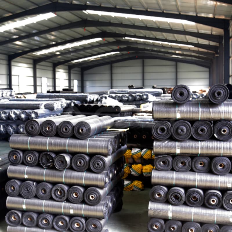 ground cover ground cover