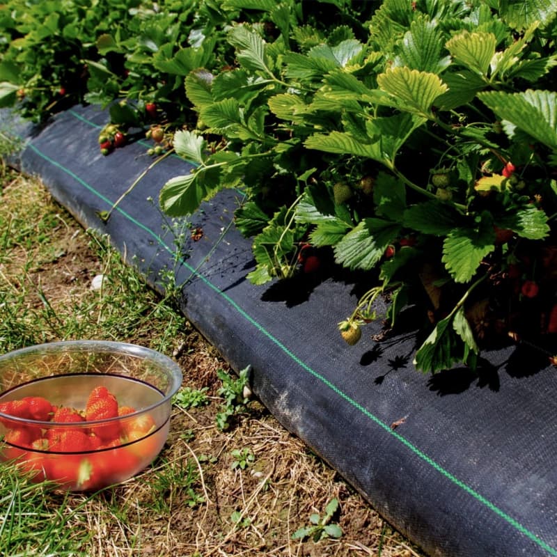 PP Woven Weed Mat Commercial Landscape Fabric Weed Barrier