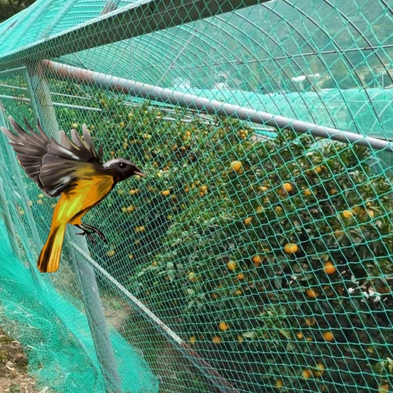 30g Anti-Bird Netting