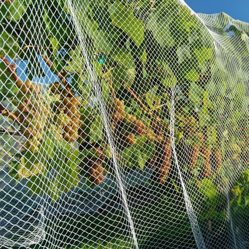 anti bird netting