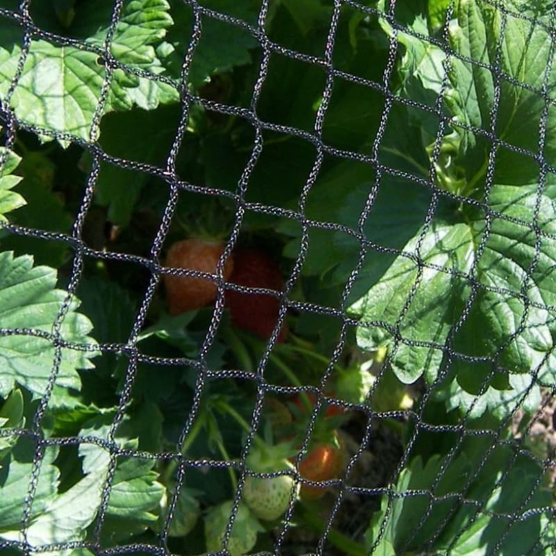 anti bird netting