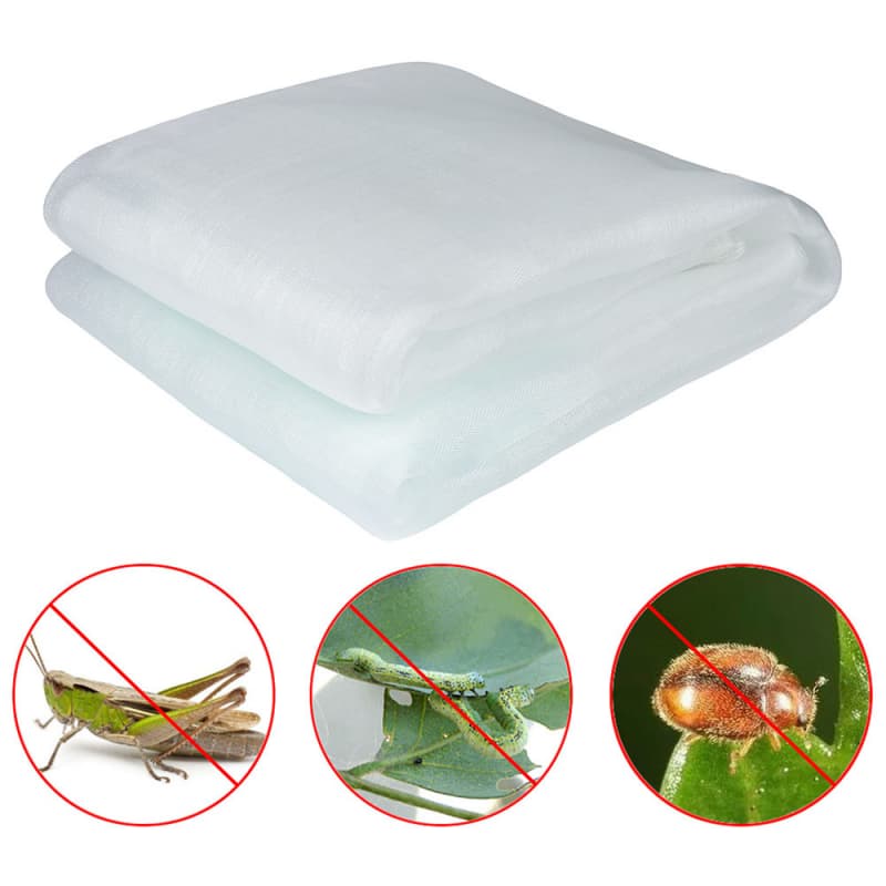 Anti Insect Net 