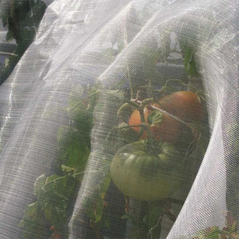 Anti Insect Net