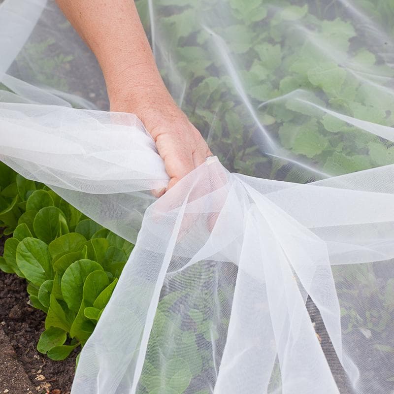 Anti Insect Net