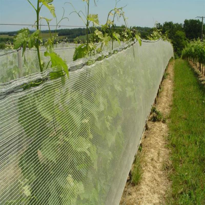 50mesh HDPE Greenhouse Anti-Insect Netting