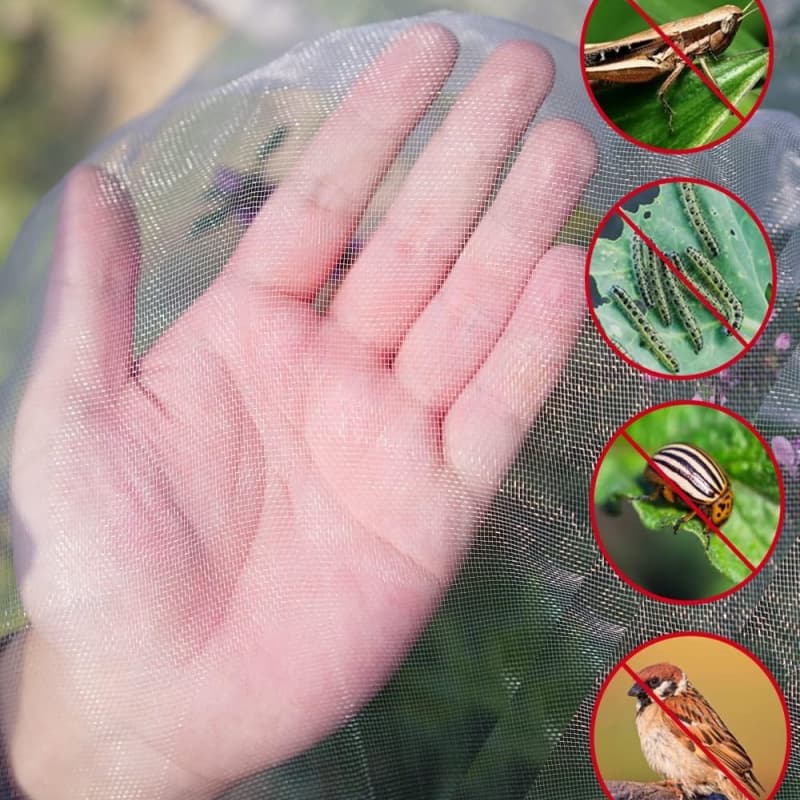 anti insect net