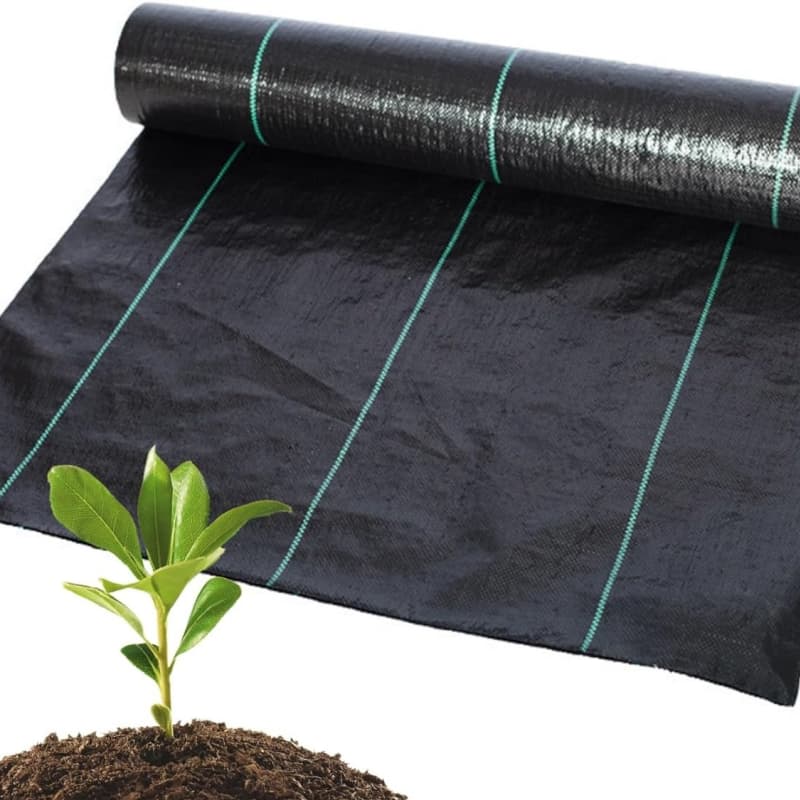 Wholesale Price Ground Cover