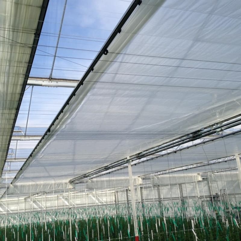 Indoor aluminum shade net for plant protection