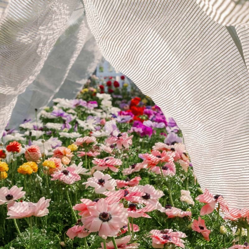 indoor aluminum shade net indoor aluminum shade net