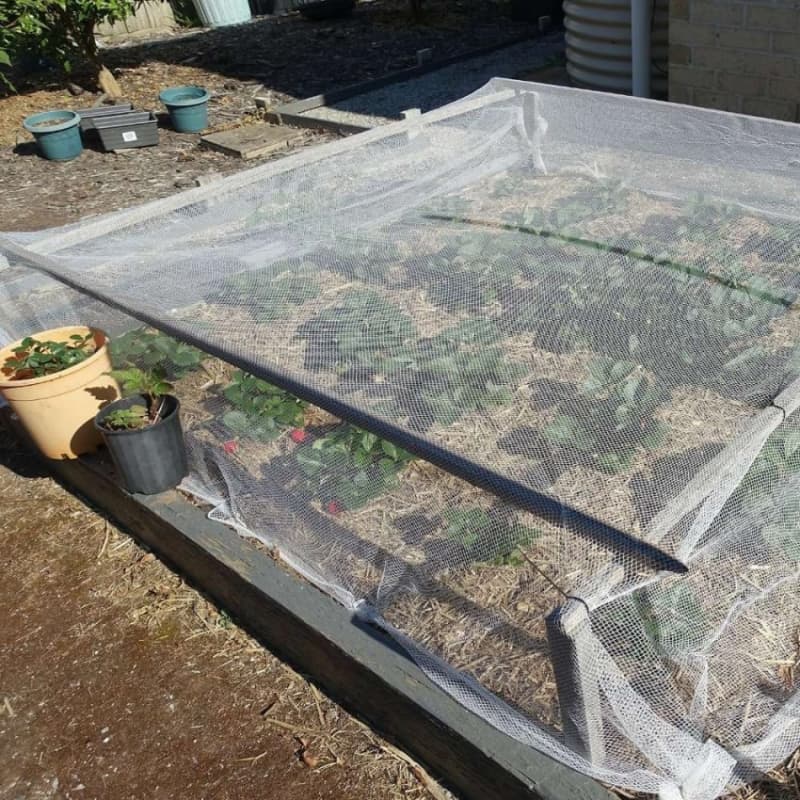 Durable anti insect nets for gardens