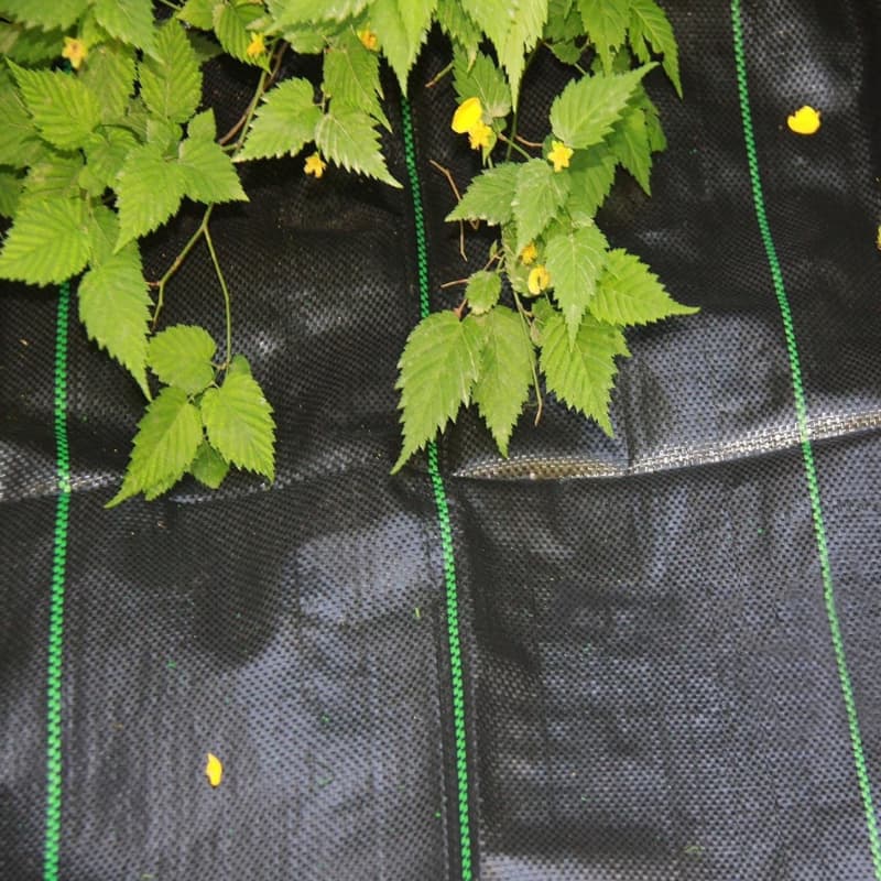 weed mat