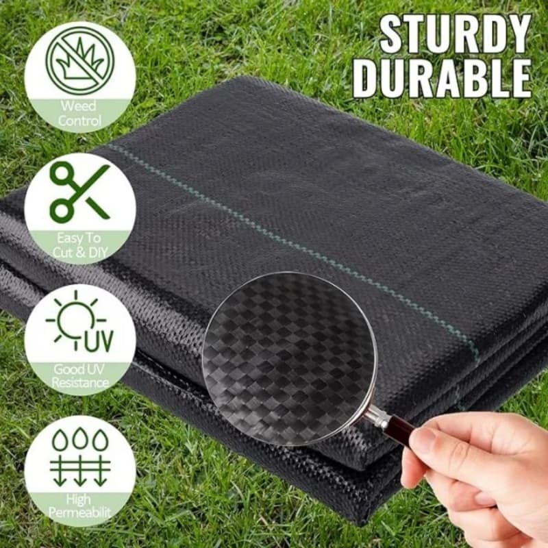 ground cover
