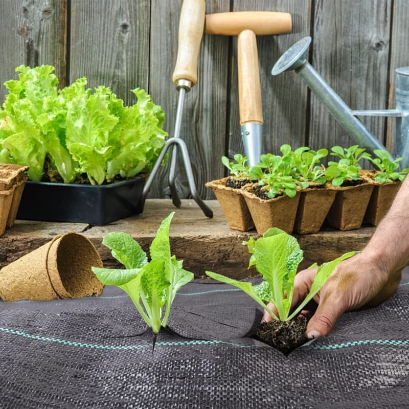 Greenhouse Weed Mat
