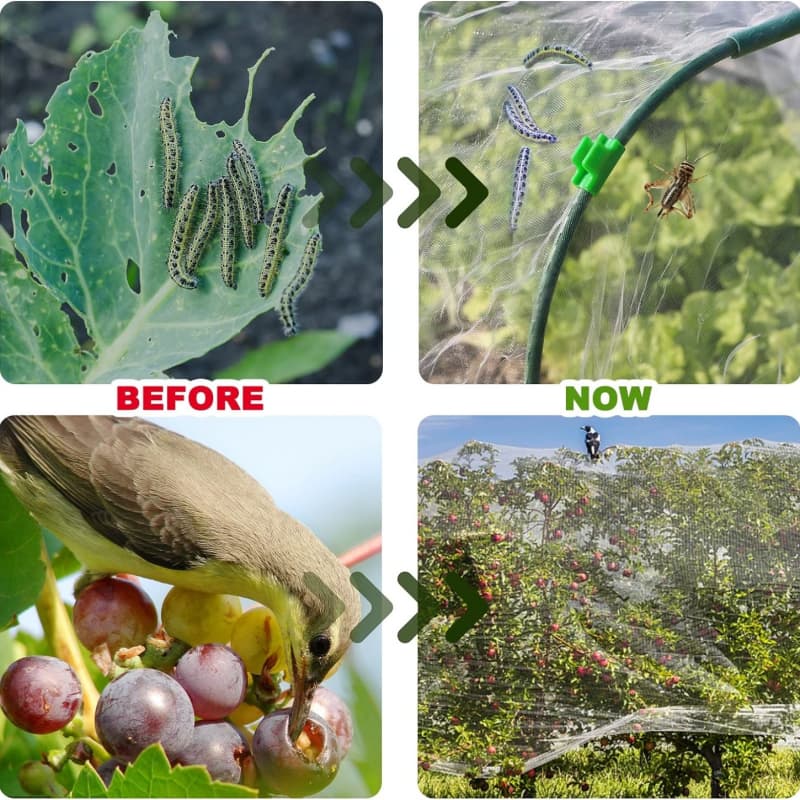 anti insect net