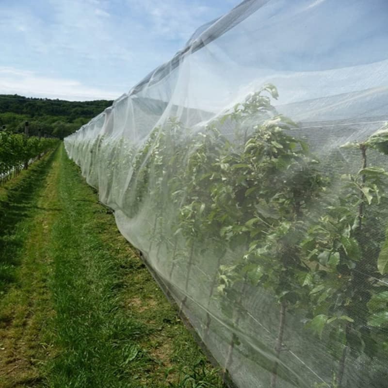 Durable anti insect screen mesh
