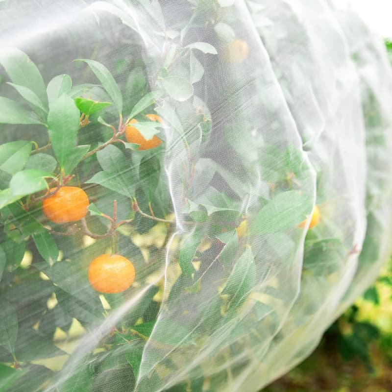 Anti Insect Net