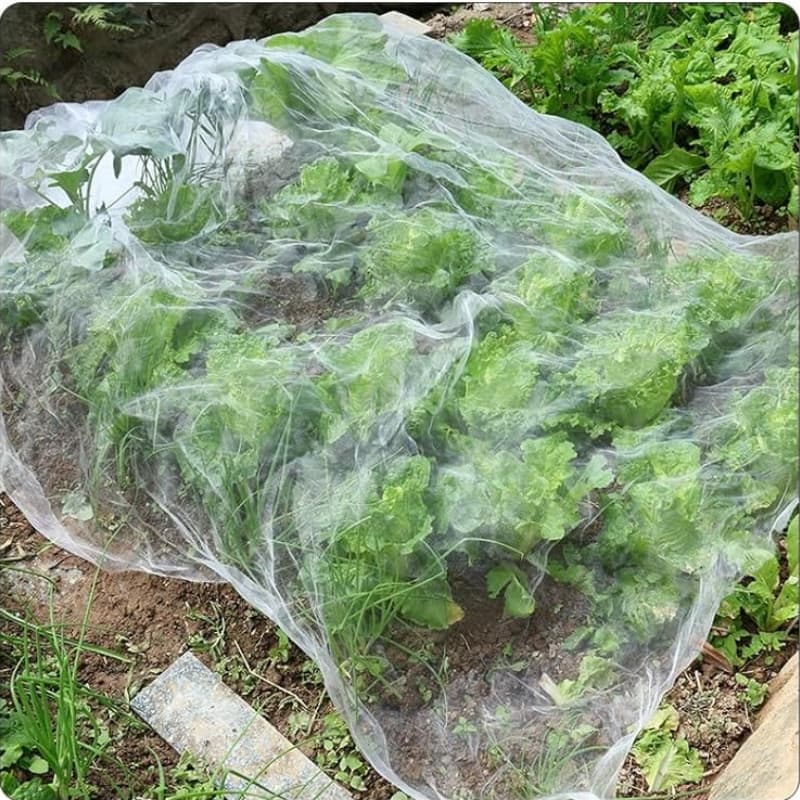 anti insect net