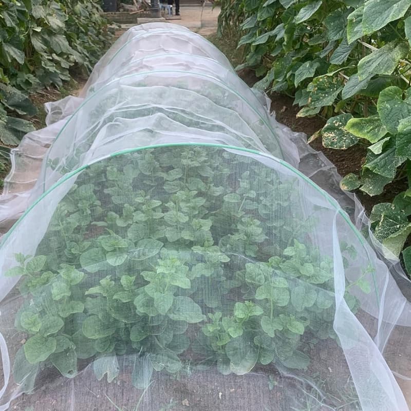 40mesh 50mesh 60mesh anti insect net