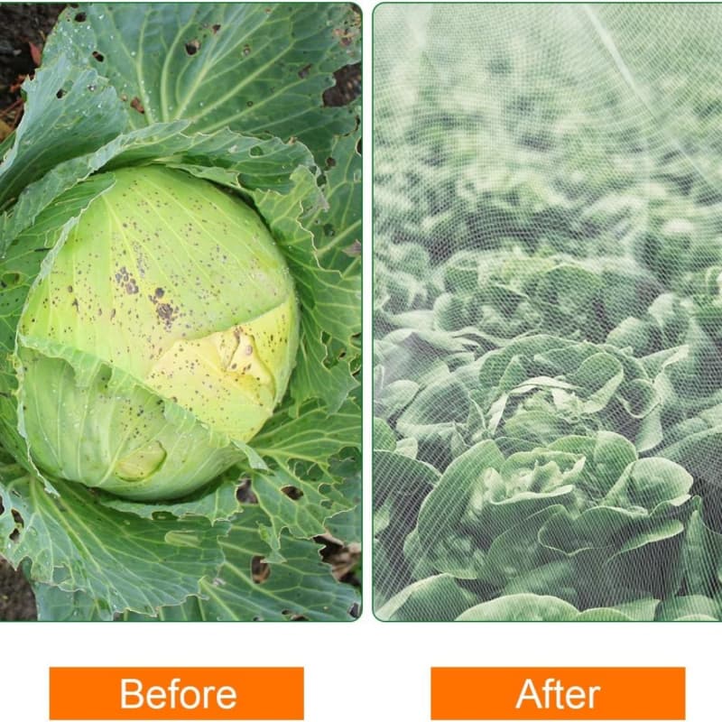 anti insect net