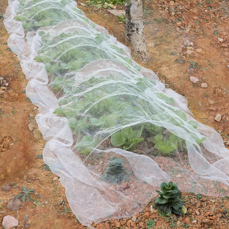 custom size insect net