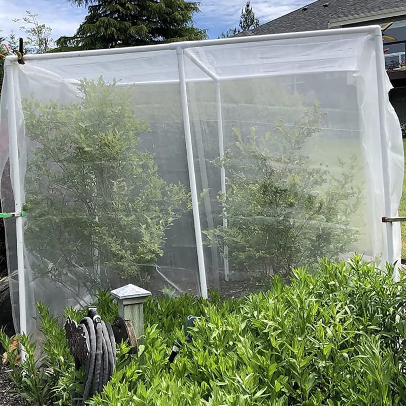 anti insect net