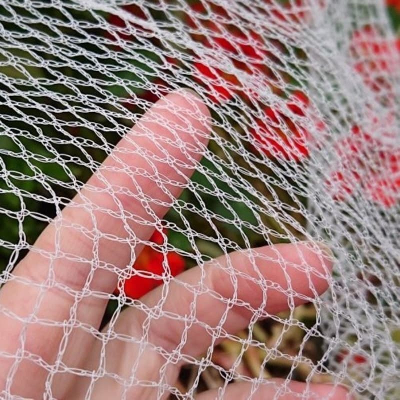 anti bird netting anti bird netting
