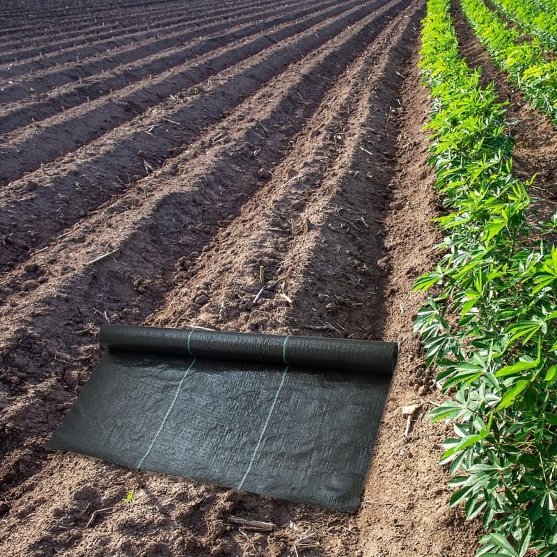 ground cover for farm planting