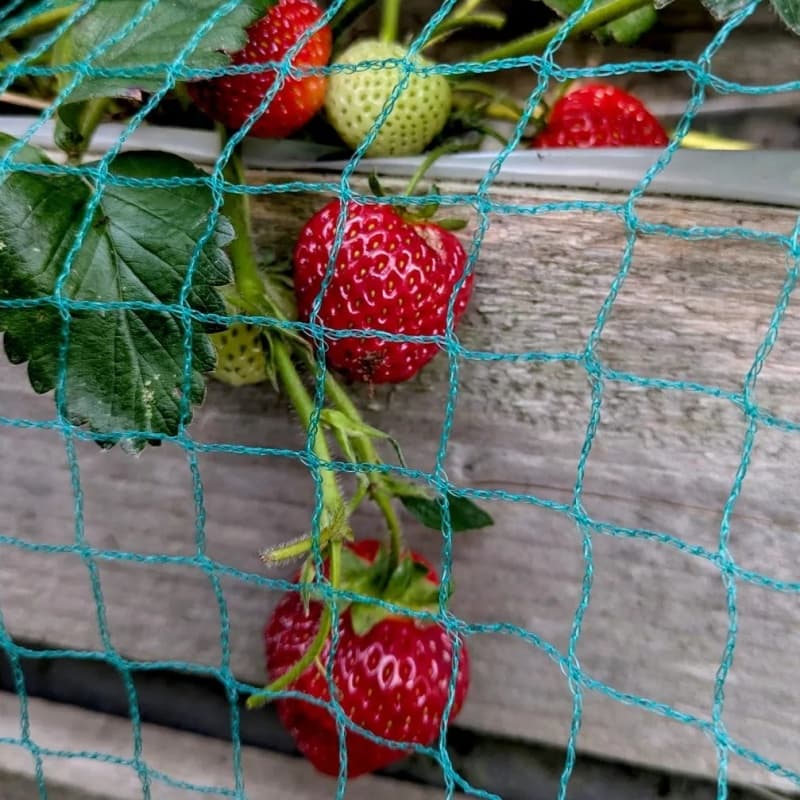 anti bird netting