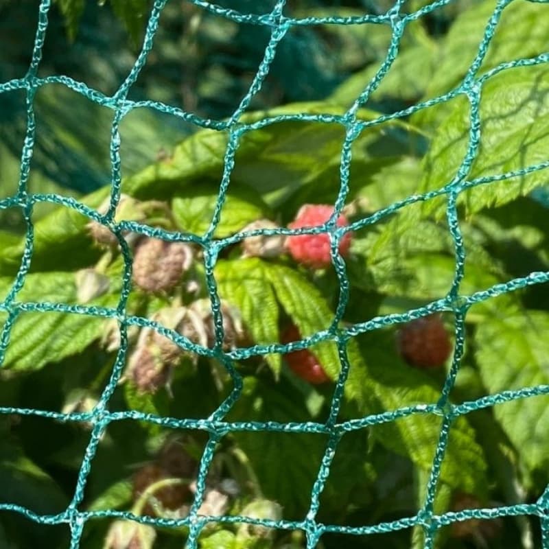 anti bird net