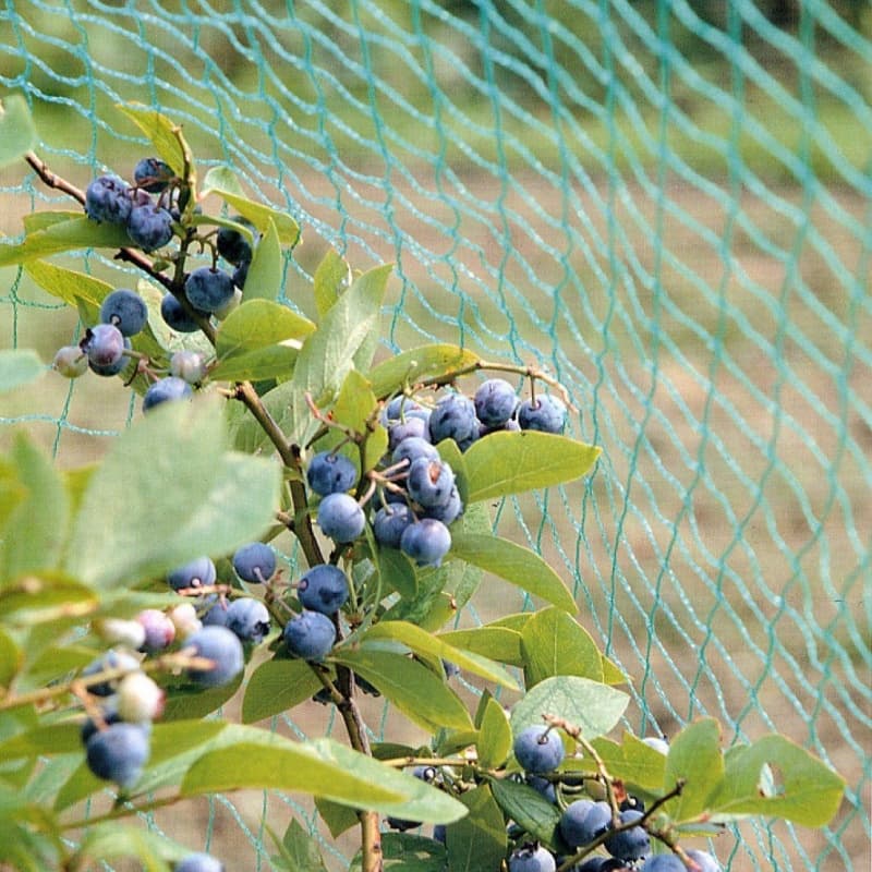 HDPE bird netting
