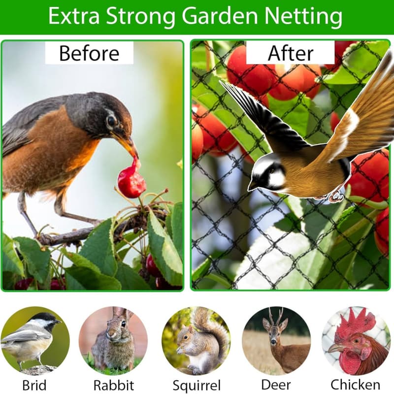 anti bird netting anti bird netting