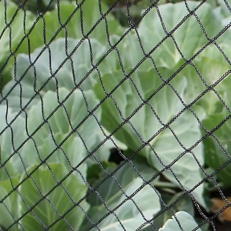 anti bird net anti bird net