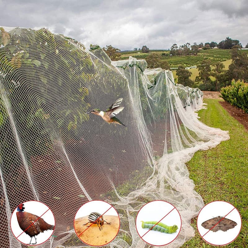 anti bird netting