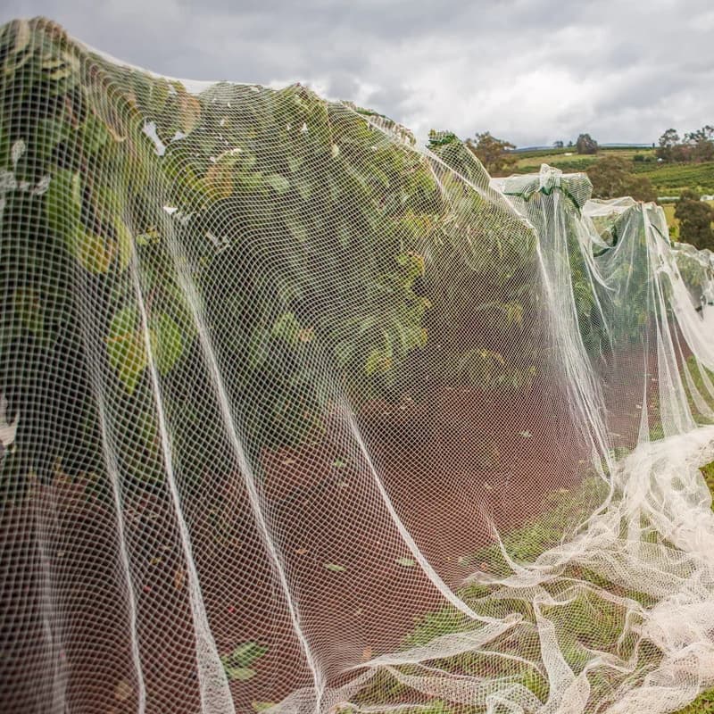 anti bird net anti bird net