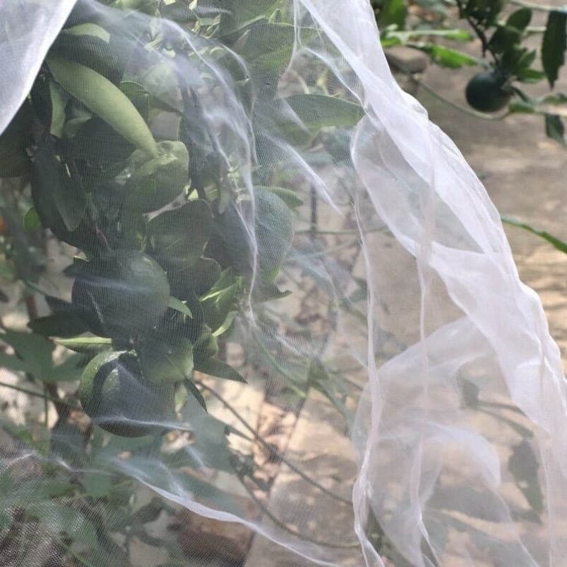 anti insect net