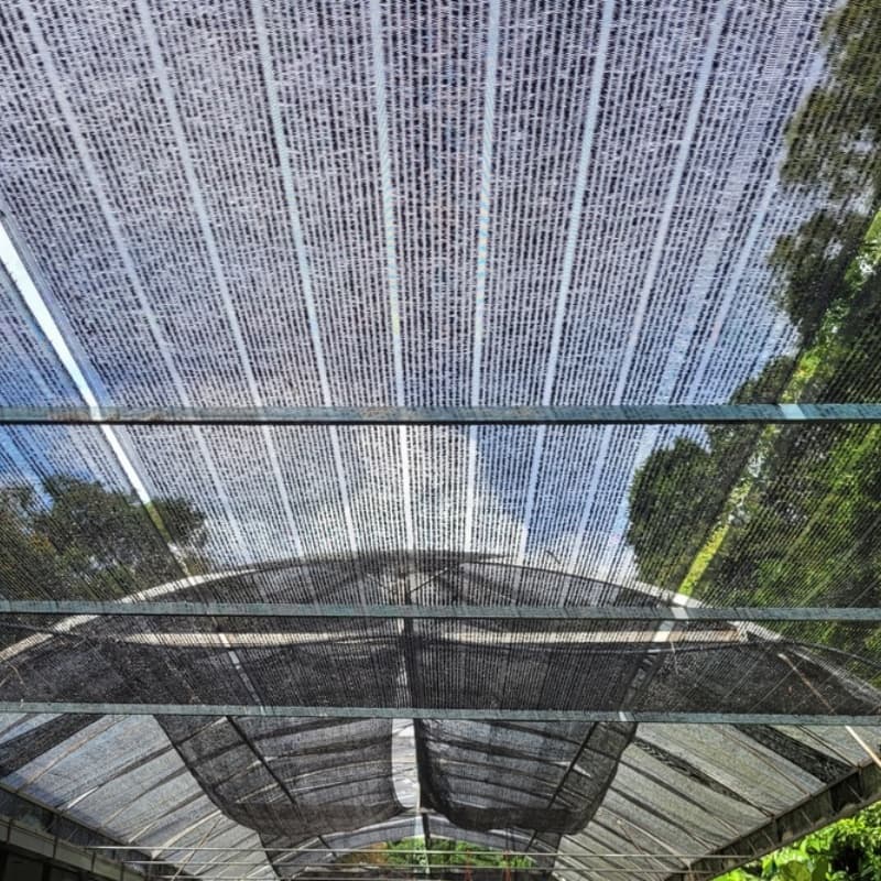 shade net