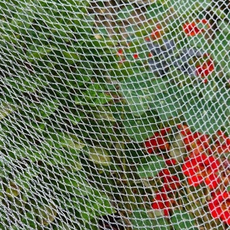 anti bird net