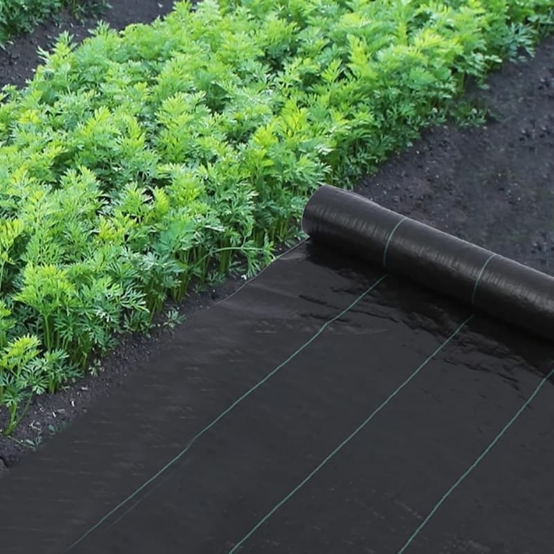 Guía completa sobre la cobertura vegetal PP: Control de malezas, transpirabilidad y respuestas a preguntas frecuentes.