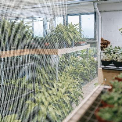 Red de plástico para insectos a bajo precio para huertos, plantaciones, invernaderos agrícolas