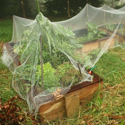 Malla antiaves de polietileno de alta densidad para uso agrícola, ideal para la captura de aves y para invernaderos.