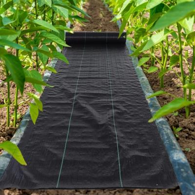 Weed Mat