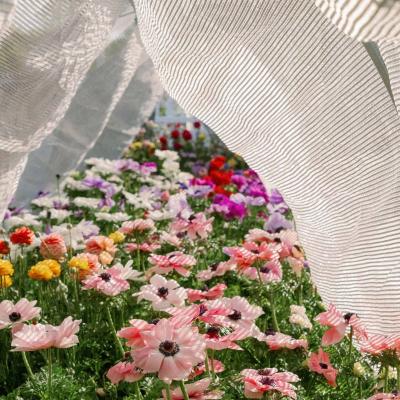 indoor aluminum shade net